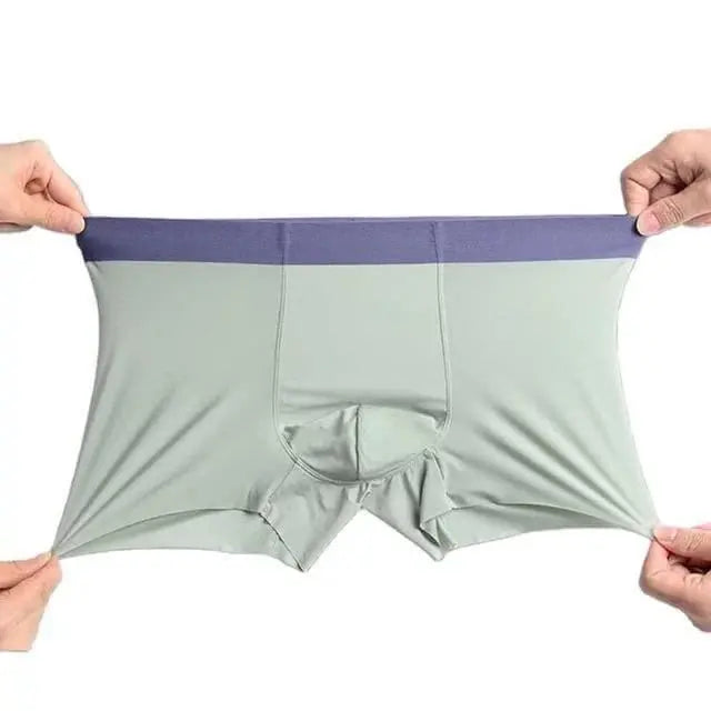 Men's Ice Silk Briefs Boxers (Pack of 5)